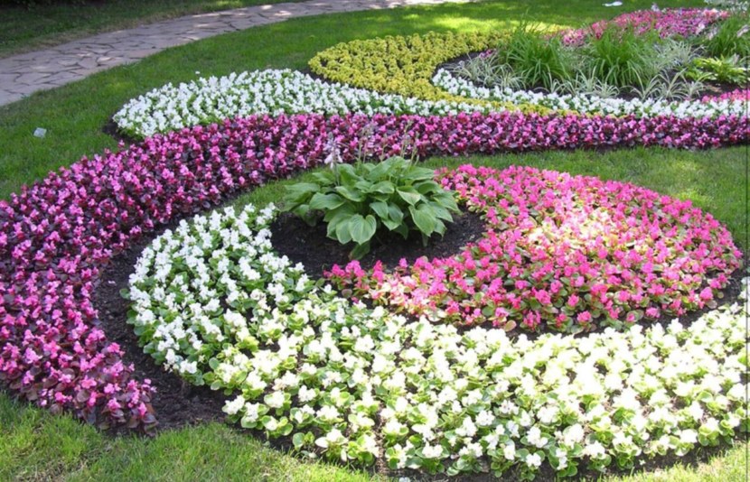 Blomsterhager i landet: typer, hvordan du gjør det selv, planteskjemaer med navn