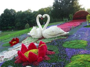 Blomsterhager i landet: typer, hvordan du gjør det selv, planteskjemaer med navn