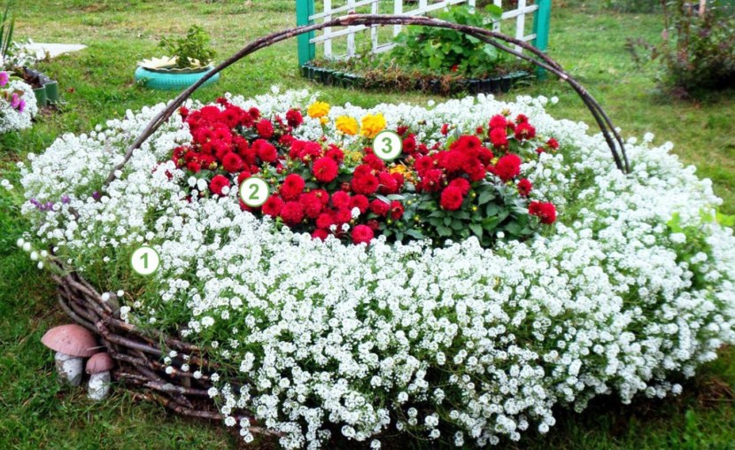 Blomsterhager i landet: typer, hvordan du gjør det selv, planteskjemaer med navn