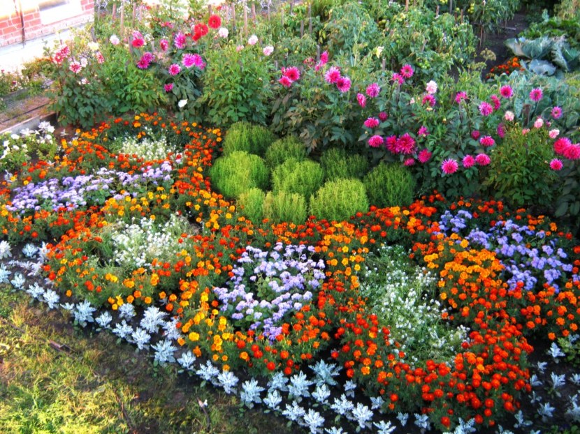 Blomsterhager i landet: typer, hvordan du gjør det selv, planteskjemaer med navn