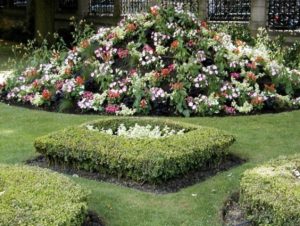 Blomsterhager i landet: typer, hvordan du gjør det selv, planteskjemaer med navn