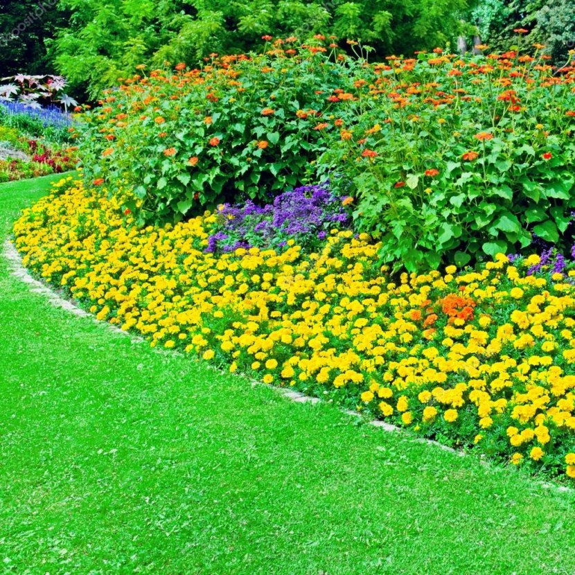 Blomsterhager i landet: typer, hvordan du gjør det selv, planteskjemaer med navn