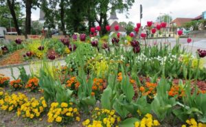 Blomsterhager i landet: typer, hvordan du gjør det selv, planteskjemaer med navn