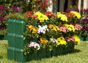 Blomsterhager i landet: typer, hvordan du gjør det selv, planteskjemaer med navn
