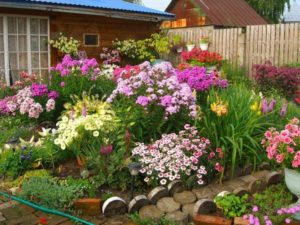 Blomsterhager i landet: typer, hvordan du gjør det selv, planteskjemaer med navn