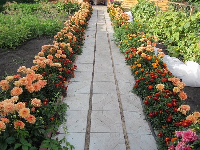 Flerårig blomsterramme langs stien