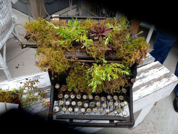 מכונת כתיבה ישנה תהפוך למלאכת גן אם היא מכוסה חלקית באדמה ונטועה בצמחים.