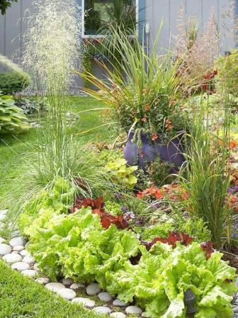 DIY dekorativ design av hagen og grønnsakshagen