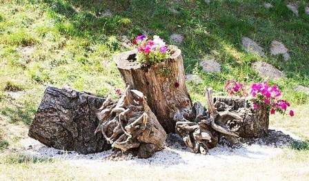 Ideell for en sommerboer som står overfor å kutte en gammel hage og plante en ny!