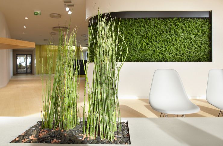 Grønne planter for forskjellige interiørstiler