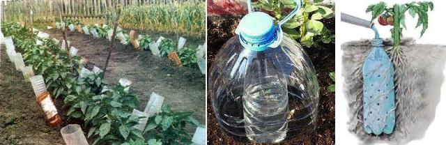 organisering av vanning ved hjelp av plastflasker