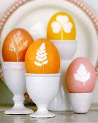 Eier mit Kräutern und Kräutern dekorieren