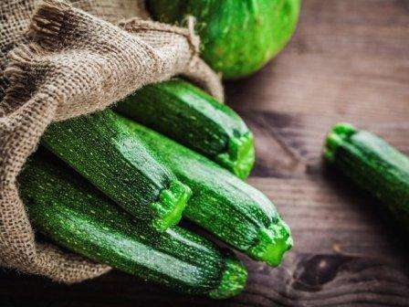 Zucchini in Tüten wachsen und pflegen