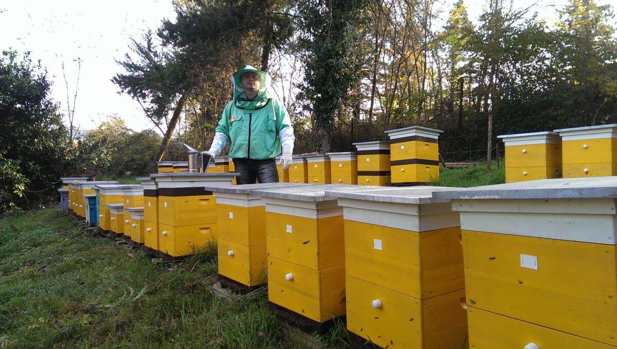 Laadukkaat tuotteet mehiläishoitajille luotettavalta ja luotettavalta toimittajalta