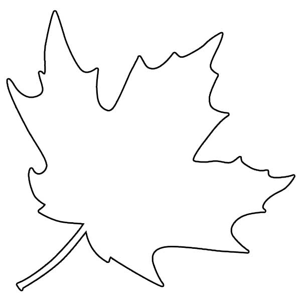 Wie zeichnet man ein Ahornblatt