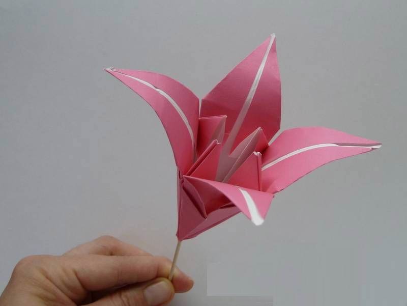 Lily origami