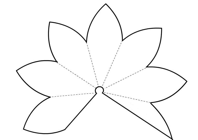 papírový vzor lilie