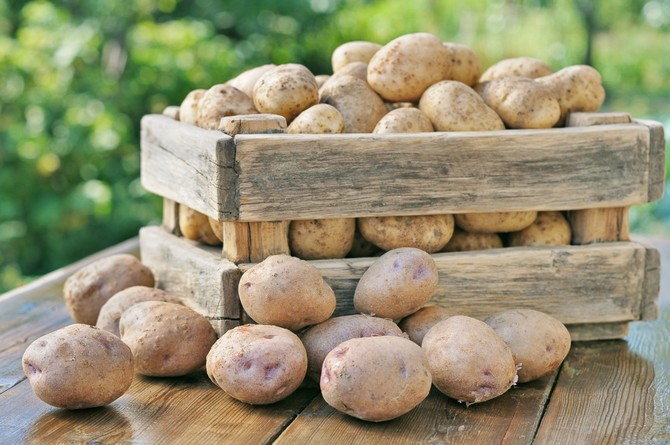 איך שומרים תפוחי אדמה בדירה