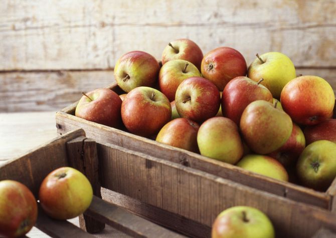 Grundregeln für die Lagerung von Äpfeln