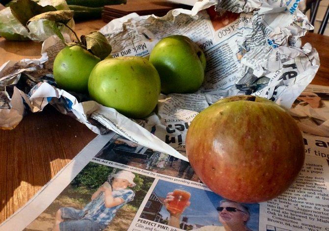 Omenojen säilyttäminen paperissa