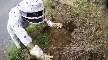 Noen ganger dukker det opp bier i landet. Husk at disse insektene uten noen åpenbar grunn angriper en person, men nabolaget deres kan være ubehagelig. Du kan bli kvitt bier ved å drepe dem eller prøve å flytte dem til et annet sted. En av de mest effektive måtene å flytte bier på er røyking.