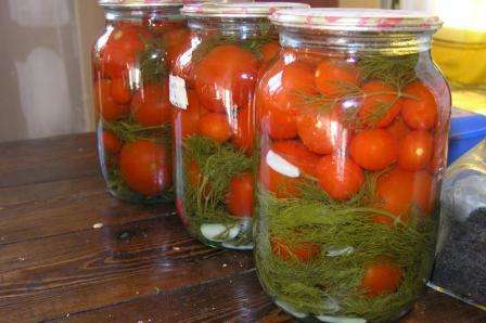 Konservering av tomater. Oppskrifter. Foto og video
