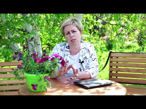 Video zum Pflanzen und Pflegen von Krokussen hitsadtv