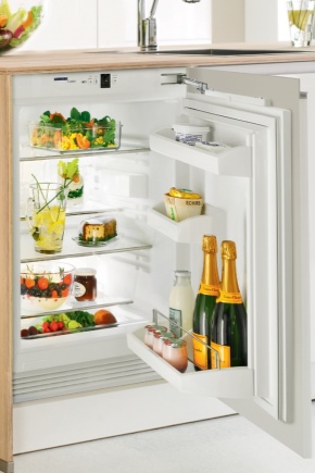 Mažas įmontuotas šaldytuvas
