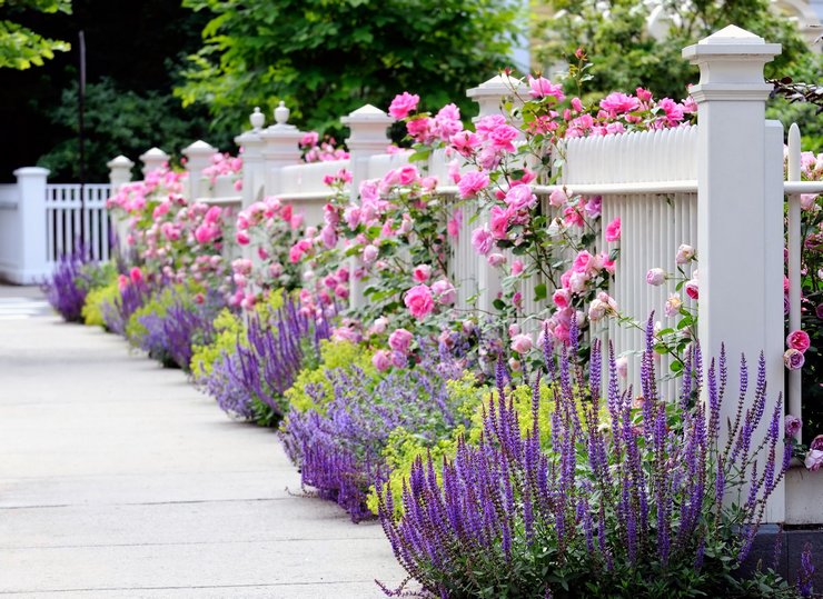 Gjør-det-selv blomsterhage langs gjerdet, blomsterbeddekorasjon