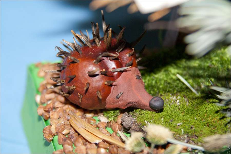 La oss lage kroppen til en pinnsvin av brun kastanje. Innvendig kan du lime plasticine for tetthet, eller du kan bare bruke en hel kastanje.