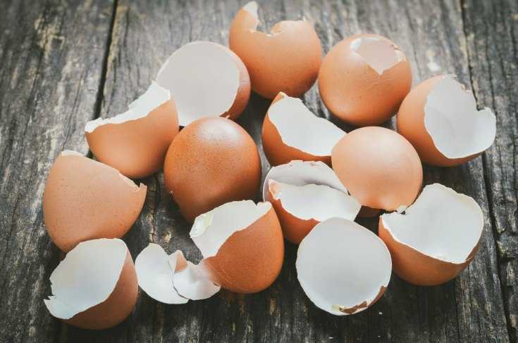 Eggeskallhåndverk: fotoeksempler på de beste verkene og en beskrivelse av deres produksjon