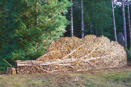 Jetzt können Sie mit der Herstellung von Holzstapeln beginnen.