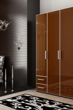 Garderobne omare: konstrukcija in oblikovanje