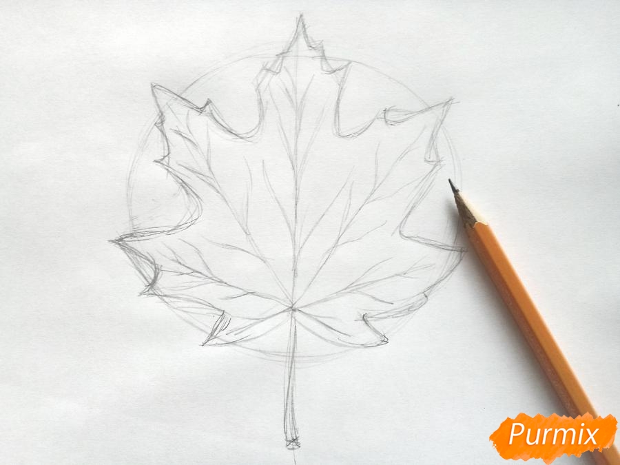 Wie man ein Ahornblatt mit Buntstiften zeichnet - Schritt 3