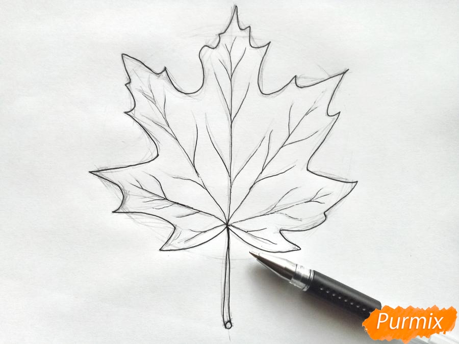 Wie man ein Ahornblatt mit Buntstiften zeichnet - Schritt 4