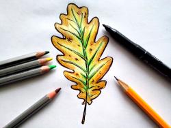 Bleistift aus Eichenblatt