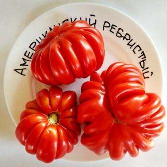 Amerikanische gerippte Tomate: Eigenschaften und Beschreibung der Sorte