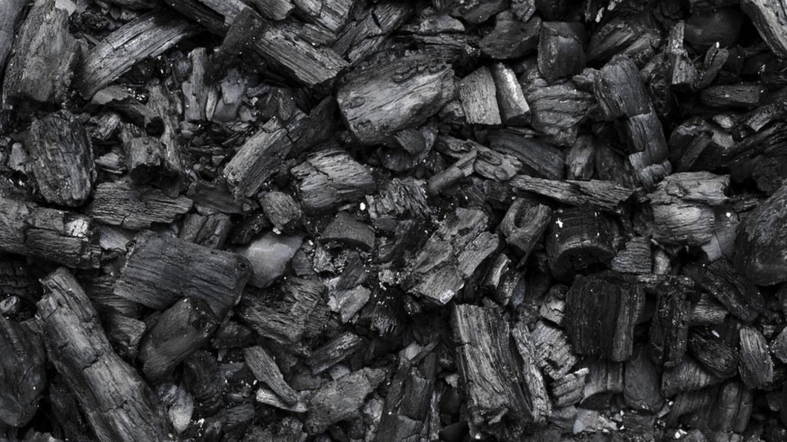 Dřevěné uhlí