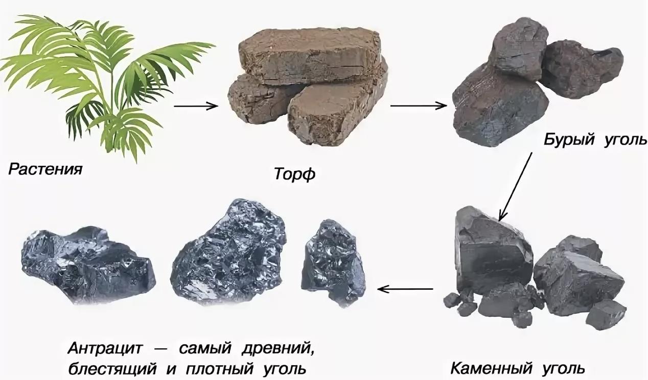 Který Mineral pokud je přítomen v uhlí je při spalování příčinou kyselých dešťů?