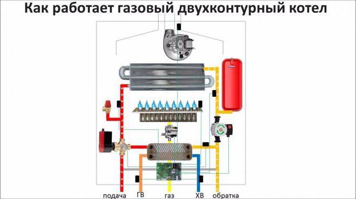 Hvordan fungerer en dobbeltkrets gasskjele: en beskrivelse av enheten og tilkoblinger