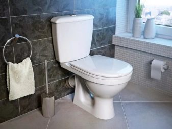 Toilettenarten: Klassifizierung nach Becken, Spülung, Ablauf, Ausführung