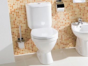 Toilettenarten: Klassifizierung nach Becken, Spülung, Ablauf, Ausführung