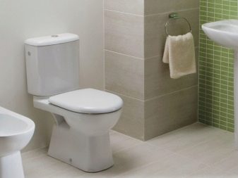 Toilettenarten: Klassifizierung nach Becken, Spülung, Ablauf, Ausführung