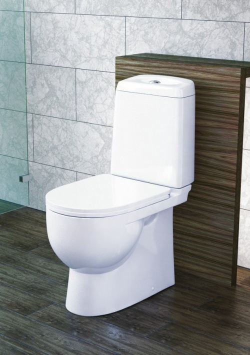 So wählen Sie die richtige Toilette aus: Ratschläge eines erfahrenen Klempners und eine Liste bewährter Modelle