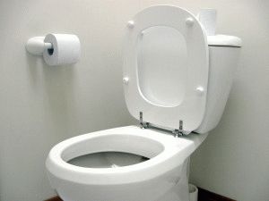 Toilettenfunktion