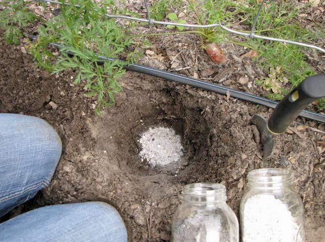 Tuhka voidaan lisätä suoraan maaperään hautaamalla se matalaan syvyyteen.